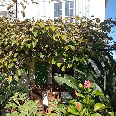 Appartement Bas De , Coin Detente Exterieur Et Parking Cagnes-sur-Mer