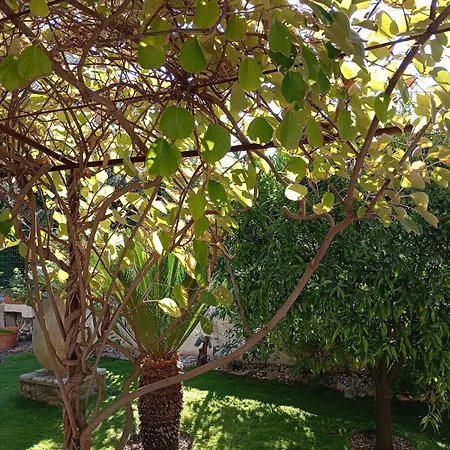 Apartament Bas De , Coin Detente Exterieur Et Parking