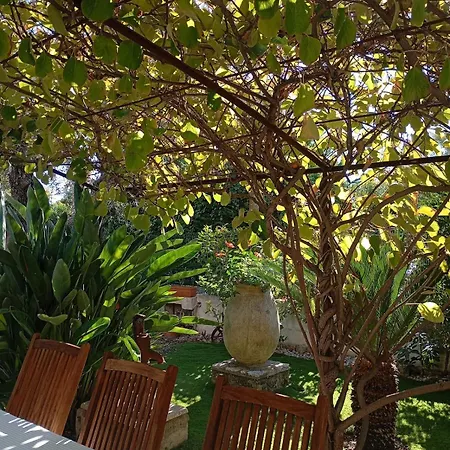 Bas De , Coin Detente Exterieur Et Parking Apartament