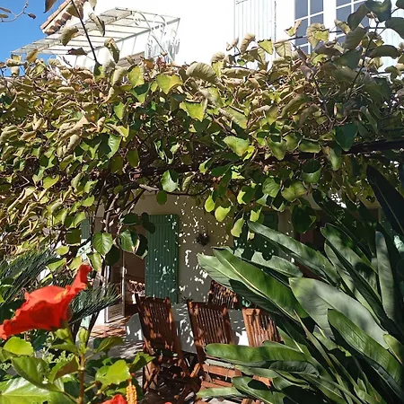 Bas De , Coin Detente Exterieur Et Parking Apartament Cagnes-sur-Mer